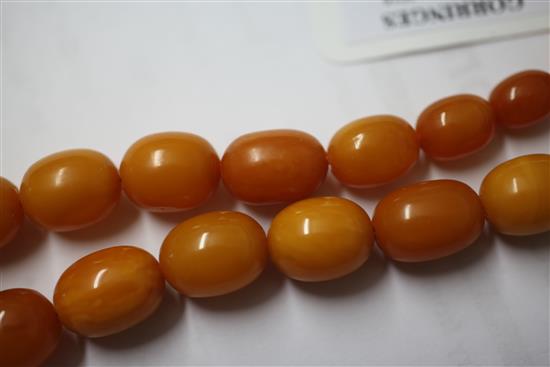 A single strand graduated amber bead necklace, 18in.